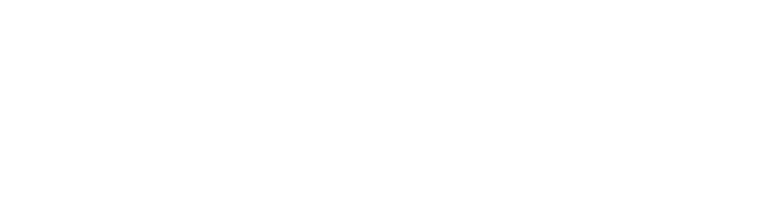 SAPIENS